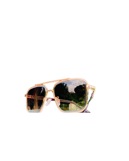 LOUIS VUITTON (LV) Glasses
